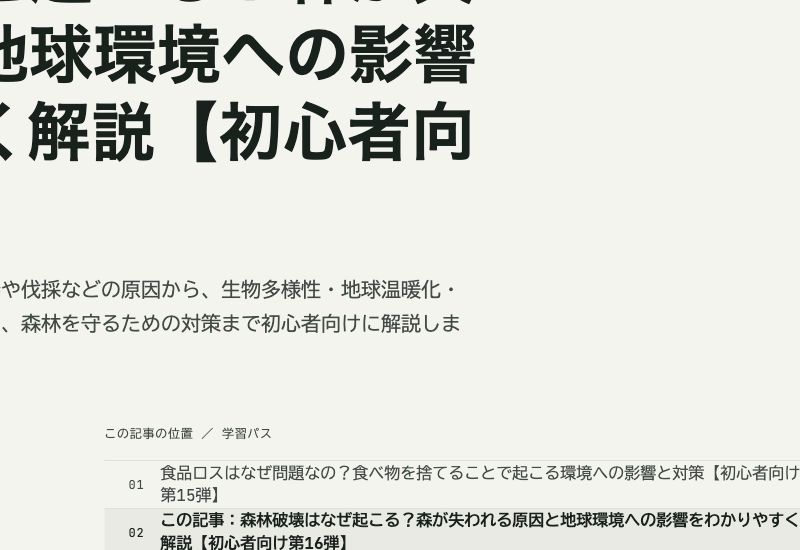 森林が持つ4つの役割の図。生物多様性を支える、炭素を吸収・貯蔵する、水循環に関わる、土壌を保全する