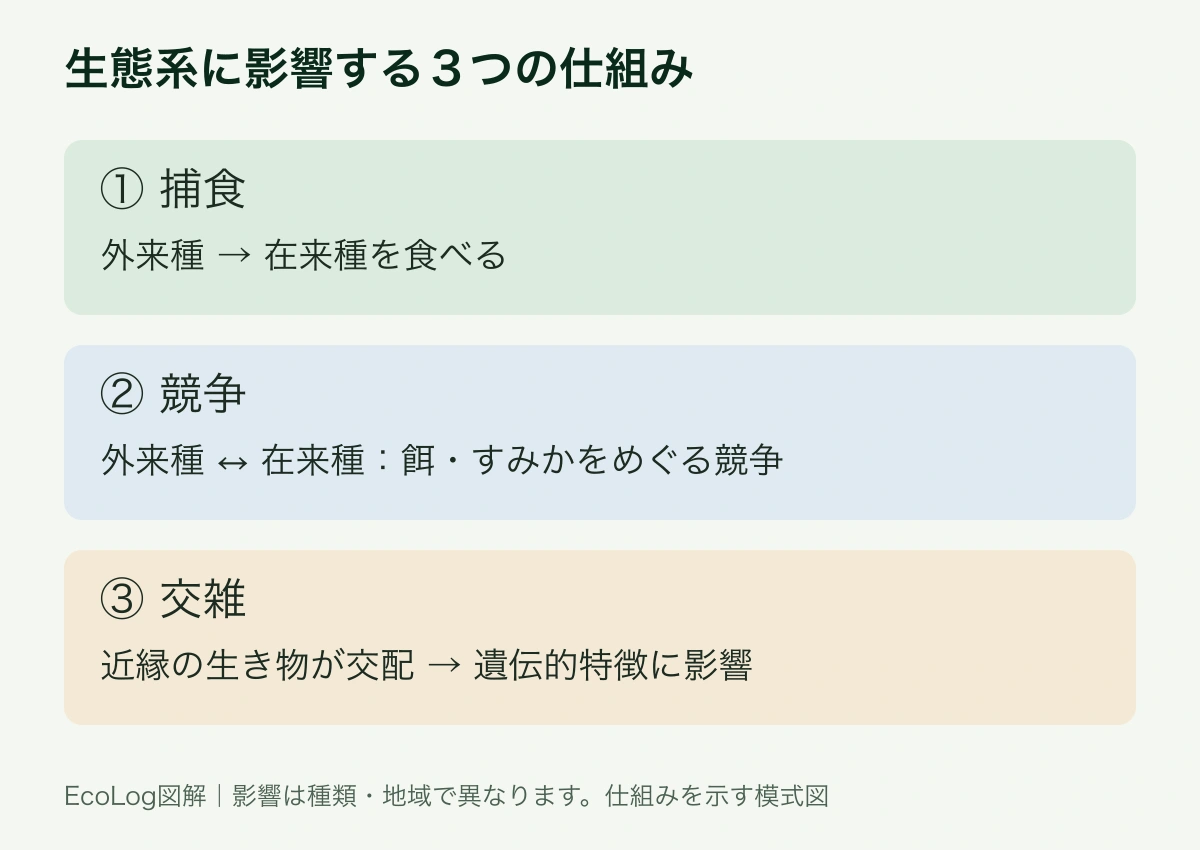 捕食は在来種を食べること、競争は餌やすみかをめぐる関係、交雑は近縁の生物の交配。影響は種と地域で異なる